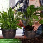 8-Inch Plastic Flower Planters with Drainage, 6-Pack