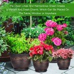 8-Inch Plastic Flower Planters with Drainage, 6-Pack