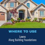 BioAdvanced Complete Insect Killer for Lawns, 40 oz