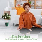 Mini Gardenia Vetchii Tree - Indoor Flowering Plant