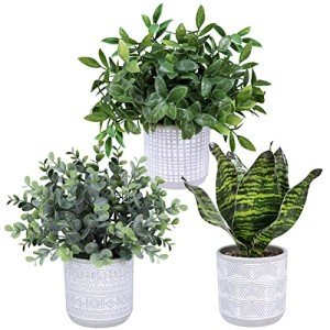 3 Small Faux Eucalyptus & Snake Plants in Gray Pots