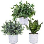 3 Small Faux Eucalyptus & Snake Plants in Gray Pots