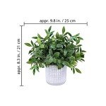 3 Small Faux Eucalyptus & Snake Plants in Gray Pots