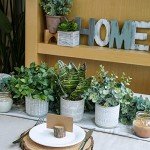 3 Small Faux Eucalyptus & Snake Plants in Gray Pots