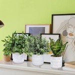 3 Small Faux Eucalyptus & Snake Plants in Gray Pots