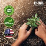 Heirloom Vegetable Seeds Variety Pack - 40 Types