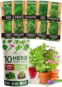 10 Variety Culinary Herb Seeds for Your Garden