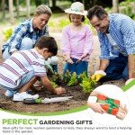 WORKPRO Garden Weeder with Plastic Handle, 30.5 cm