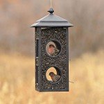 Perky-Pet Fly-Through Wild Bird Feeder - Black