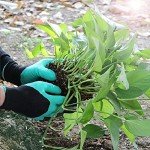 Garden Claw Gloves - Perfect Gift for Gardeners