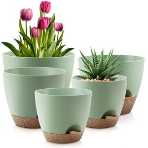 Self-Watering Plant Pots Set of 5 Green