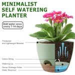 Self-Watering Plant Pots Set of 5 Green
