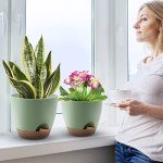 Self-Watering Plant Pots Set of 5 Green