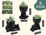 3pcs Artificial Succulent Plants for Indoor Decor