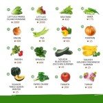 32 Heirloom Vegetable & Fruit Seed Collection