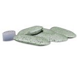 Jobe’s Organics Evergreen Fertilizer Spikes, 8 Count