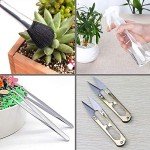 15-Piece Succulent Gardening Tools Set