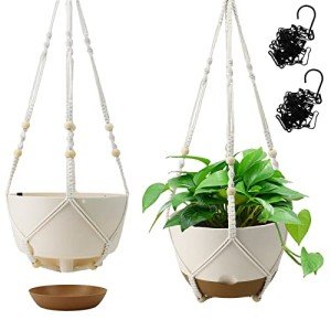Self-Watering Hanging Planters - 10 Inch, 2 Pack
