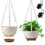 Self-Watering Hanging Planters - 10 Inch, 2 Pack