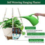 Self-Watering Hanging Planters - 10 Inch, 2 Pack
