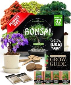 Bonsai Tree Growing Kit for Garden Lovers