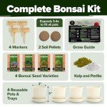 Bonsai Tree Growing Kit for Garden Lovers