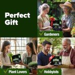 Bonsai Tree Growing Kit for Garden Lovers