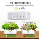 Indoor Hydroponics Growing System with LED Light