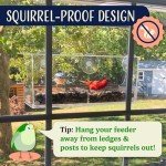 Suction Cup Window Bird Feeder with Seed Tray
