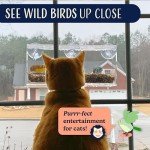 Suction Cup Window Bird Feeder with Seed Tray