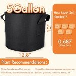 10-Pack 5 Gallon Grow Bags with Handles