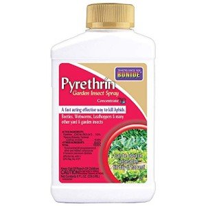 Bonide Pyrethrin 8 oz Fast Acting Insect Spray