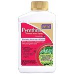 Bonide Pyrethrin 8 oz Fast Acting Insect Spray