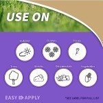 Bonide Pyrethrin 8 oz Fast Acting Insect Spray