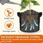 10-Pack 5 Gallon Grow Bags with Handles