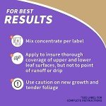 Bonide Pyrethrin 8 oz Fast Acting Insect Spray