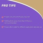 Bonide Pyrethrin 8 oz Fast Acting Insect Spray