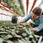 10 Gallon Plastic Planter Pots - 5 Pack