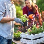 5 Gallon Wide Rim Garden Nursery Pots (Set of 5)