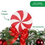 Freshly Decorated 18-20 Inch Live Christmas Tree