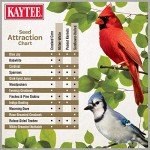 Kaytee No Mess Bird Seed for Colorful Songbirds