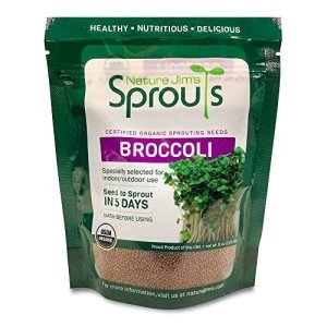 Organic Broccoli Sprout Seeds for Healthy Growth