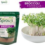 Organic Broccoli Sprout Seeds for Healthy Growth