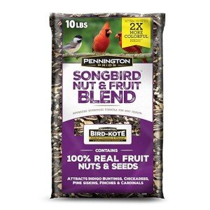 Pride Songbird Nut & Fruit Wild Bird Seed