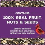 Pride Songbird Nut & Fruit Wild Bird Seed