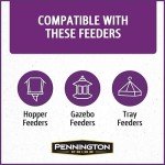 Pride Songbird Nut & Fruit Wild Bird Seed