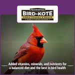 Pride Songbird Nut & Fruit Wild Bird Seed