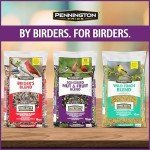 Pride Songbird Nut & Fruit Wild Bird Seed