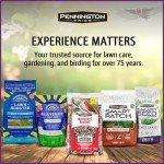 Pride Songbird Nut & Fruit Wild Bird Seed