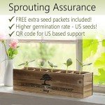 AVERGO Bonsai Tree Kit – Grow 5 Unique Varieties